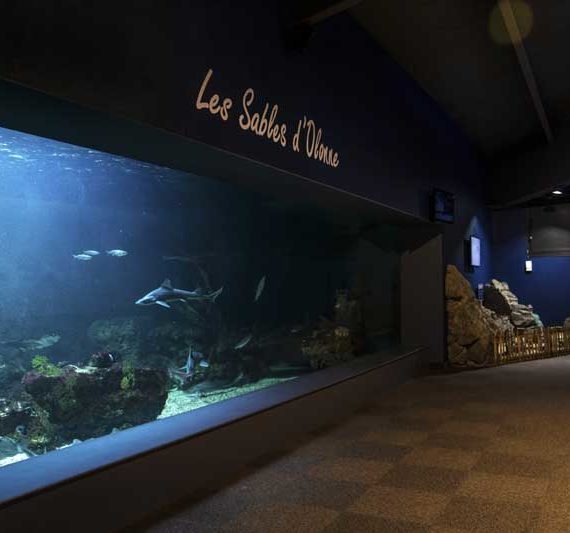 Groupes et CE : tous les tarifs préférentiels - Aquarium des sables d'olonne