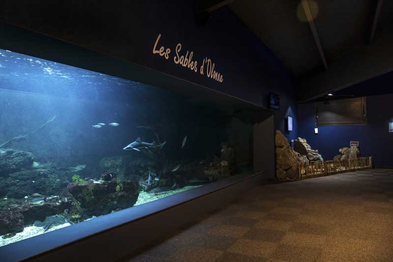 Groupes et CE : tous les tarifs préférentiels - Aquarium des sables d'olonne