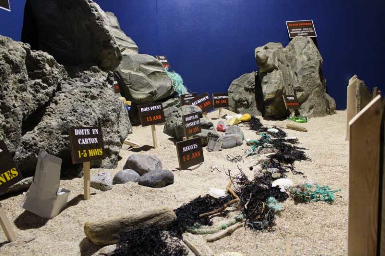 aquariumlarochesuryongroupesscolairesSOSmerendangeraquarium