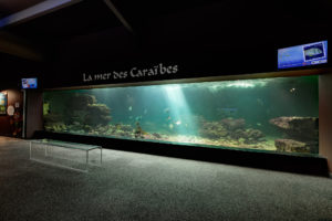 aquarium-talmont-saint-hilaire-vue-bassin-mer-des-caraibes-vivre-l-experience-aquarium-de-vendee
