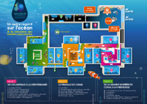 Téléchargez le plan pour découvrir l'aquarium aux requins et tant d'autres espèces