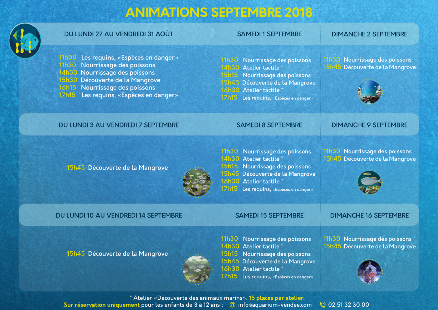 ANIMATIONS 1 SEPT-16 SEPT SANS PROMO