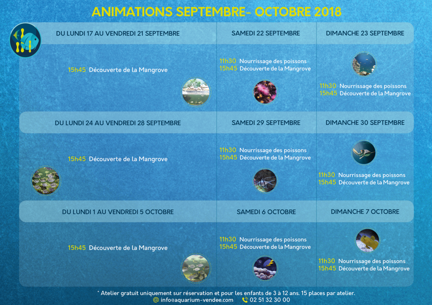 ANIMATIONS 17 SEPT-7 OCT SANS PROMO