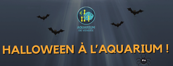aquarium-talmont-vacances-toussaint-aquarium-de-vendee