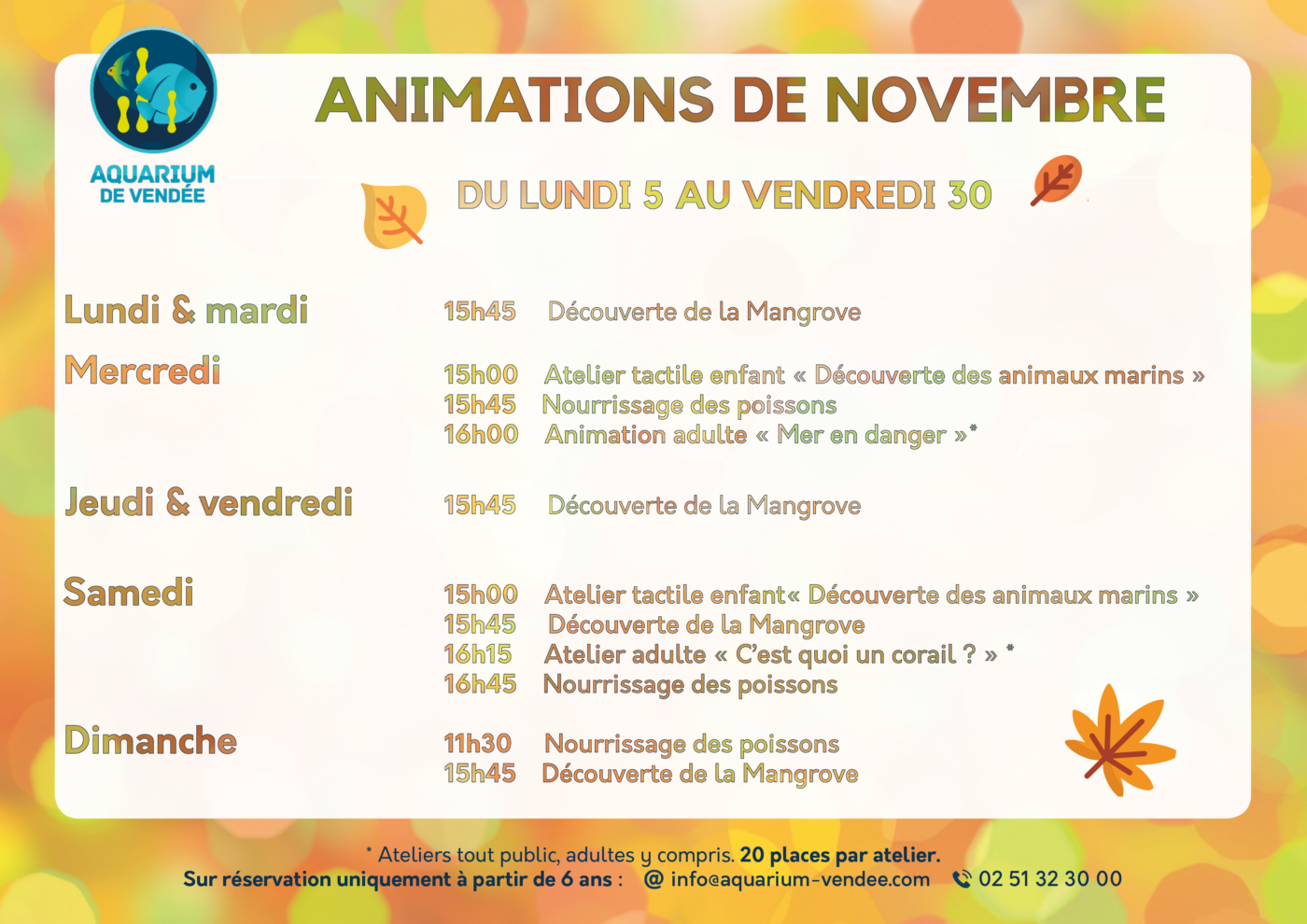 aquarium-vendee-animations-de-novembre-2018-aquarium-de-talmont