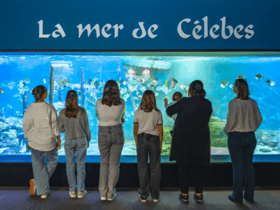 aquarium_de_vendee_HD_10