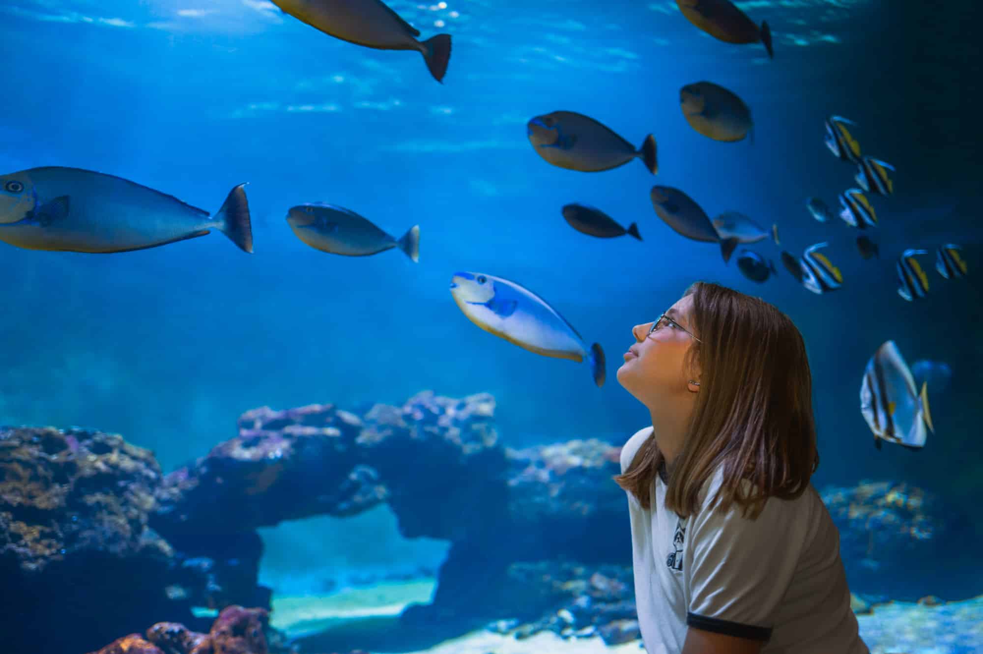 Ouverture jours fériés