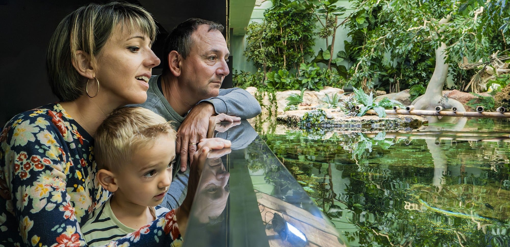 Partagez une merveilleuse expérience en famille